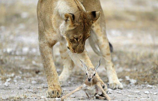 <p>Fotoğrafçı Gordon Donovan çektiği bu fotoğrafta inanılmaz bir detay yakaladı. </p>
<p> </p>