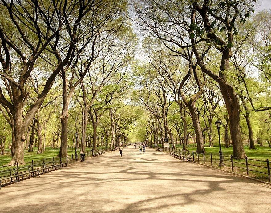 <p>Amerika'nın New York eyaletinde yer alan yemyeşil Central Park koskoca bir şehrin göbeğinde yer alıyor.</p>
