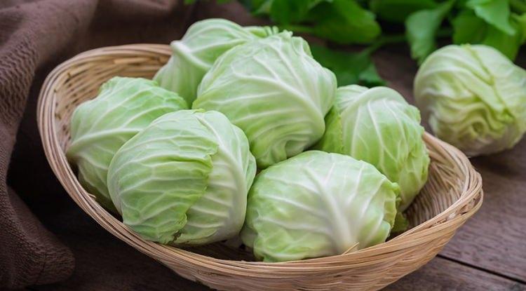 <p><strong>LAHANA</strong></p>
<p>Lahana içerdiği folik asit sayesinde kanser hücrelerini azaltır. Aynı zamanda 22 kalori içerdiği için kilo vermeye çalışan kişilerin tüketmesi gereken yeşil yapraklı sebzelerin başında gelir.</p>
