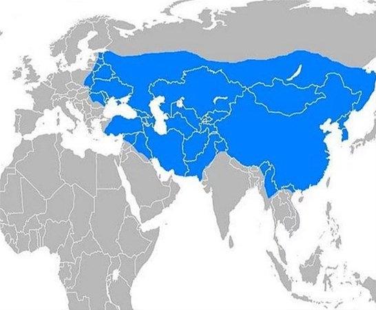 <p>4'e ayrıldıktan bir süre sonra süper güçlük konumunu Osmanlı Devleti kapmıştır.</p>

<p> </p>
