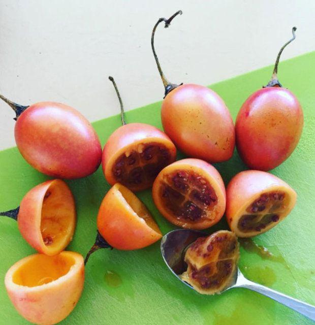 <p>Tamarillo</p>

<p> </p>
