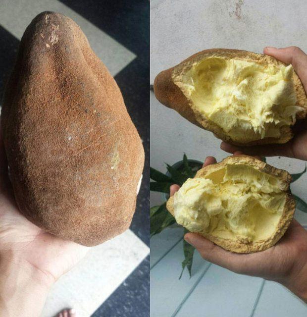 <p>Cupuaçu</p>
