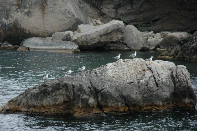 <p><br />
Timur, ilçenin özellikle Osmanlı döneminden kalma han, hamam, konak, cami, çeşme ve köprüleriyle açık hava müzesini andıran Safranbolu'ya da yakın olduğunu, bu iki ilçenin partner olarak çalışabildiklerini belirterek, "Safranbolu'nun tarihi evleri, hanları, konaklarının yanı sıra Amasra da denizi, balığı ve coğrafyasıyla ilgi çekiyor." dedi.</p>