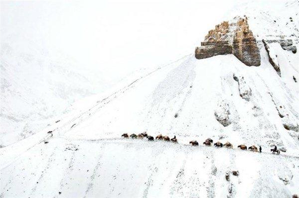 <p>Afganistan'ın yerleşim birimlerinden uzak ve yaşam şartları çok ağır olan Wakhan koridorunda yaşayan 1200 Kırgız için hayat çok farklı. Çin, Tacikistan ve Pakistan tarafından çevrilen 225 kilometre uzunluğundaki koridor, dünyada yaşamın en zor oluğu yerlerden biri. </p>

<p>Ağaç yetişme sınırının üstlerinde karda ilerleyen tacir kervanı, daha alçaktaki bir vadiye inen ürkütücü patikadan geçerken yakların şaşmaz adımlarına güveniyor. 4250 metrenin üzerinde bir rakımdaki Küçük Pamir’de kışlar sekiz ay hatta daha da uzun sürüyor, yazın dahi kar yağabiliyor.</p>
