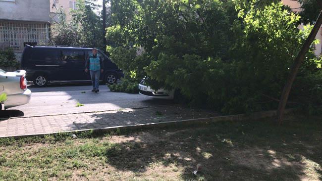 <p>Kayseri'de ağırlığa dayanamayarak kopan çınar ağacının dalı, park halindeki lüks aracın üzerine devrildi.</p>

<p> </p>
