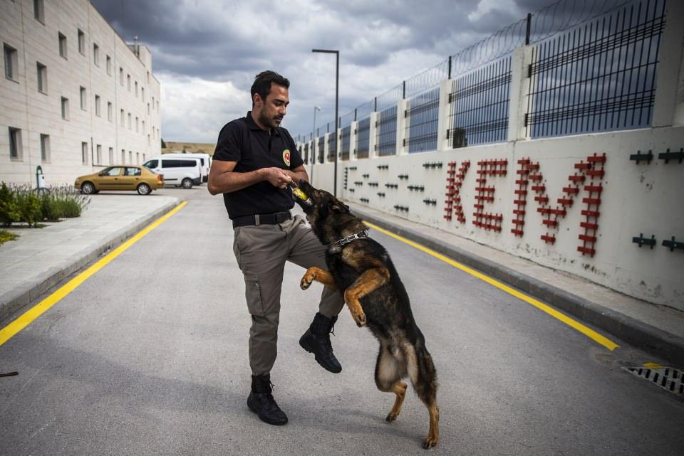 <p><strong>"Her ortama duyarlı olmalarını öğretiyoruz"</strong></p>
<p>Dilsiz, dedektör köpeklerin gümrüklü sahalarda karşılaşabilecekleri kaçakçılık senaryolarına hazırlanmaları için eğitimlerin açık ve kapalı simülasyon alanlarında yürütüldüğünü belirterek, şöyle konuştu:</p>