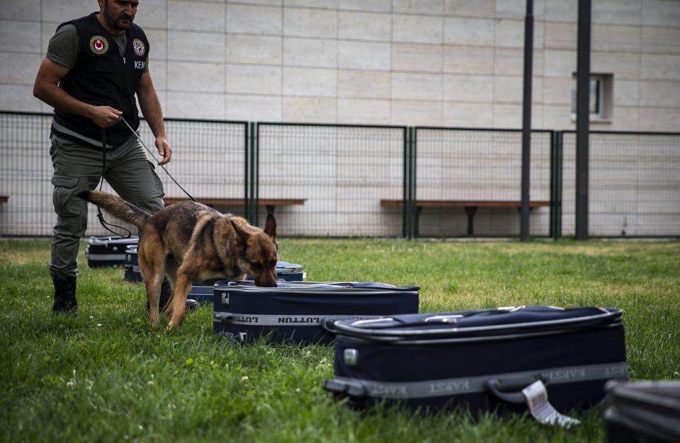 <p>Dilsiz, yeni teknoloji ve dedektörler köpekler sayesinde geçen yıl 26,8 ton uyuşturucu, 132 ton çay, 13,9 milyon paket sigaranın ele geçirildiğini aktardı.</p>
<p> </p>