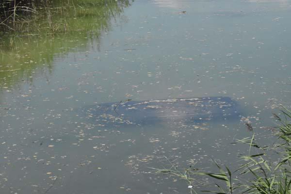 <p>Mehmet Sarı idaresindeki 42 CFA 88 plakalı hafif ticari ara&ccedil;, &Ccedil;umra&nbsp; il&ccedil;esi Abditolu Mahallesi Saz mevkisinde, sulama kanalına d&uuml;şt&uuml;.</p>

<p>&nbsp;</p>

