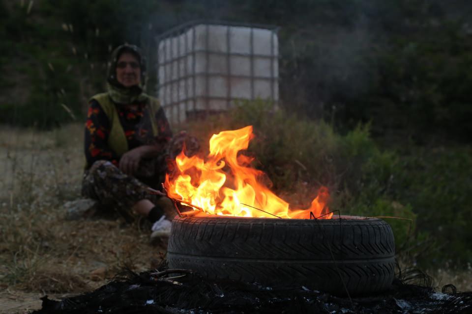 <p>Ağacı kökünden söktüğü günler de oluyor. En son dün işimiz çıktığı için buraya gelemediğimizden dolayı bahçeye girip 4 ağacımıza zarar vermişler. </p>