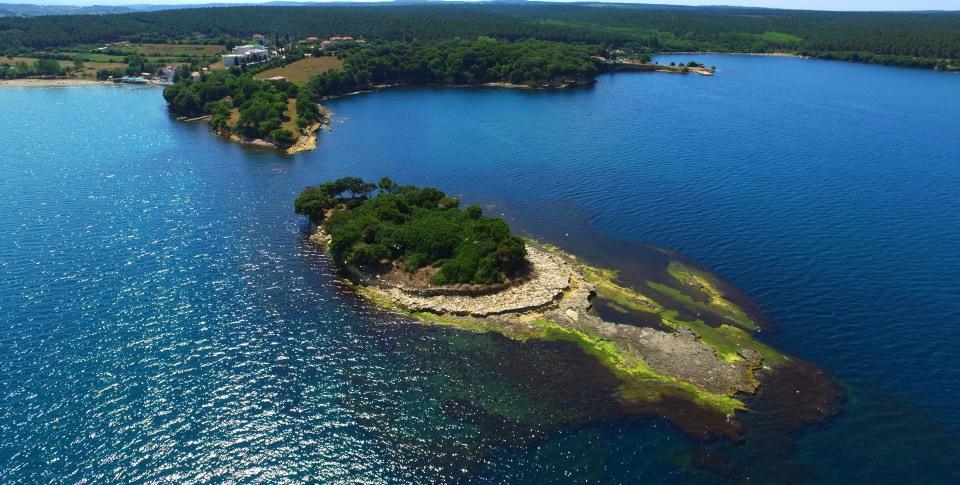 <p><strong>"Ekoturizm ve tabiat turizmi yönünden çok zenginiz" </strong></p>

<p>DKMP 10'uncu Bölge Müdürü Hasan Başyiğit, Sinop'ta genel müdürlüklerine bağlı 5 tabiat parkı bulunduğunu söyledi</p>
