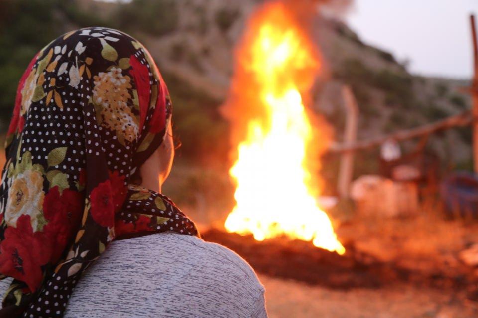 <p>Domuz, yere sarkan dallardaki kirazları yiyor. Özellikle ayılar, olmamış kirazlara asla dokunmuyor. </p>