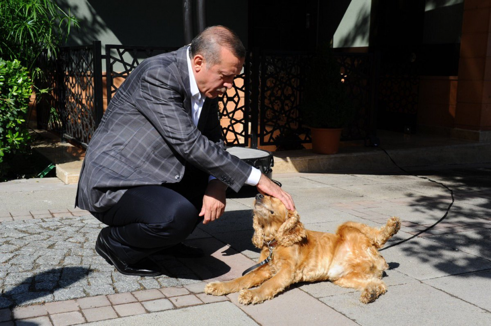 <p>Cumhurbaşkanı Erdoğan'ın resmi instagram hesabından paylaştığı ve en çok beğeni toplayan o fotoğraflar...</p>

<p> </p>
