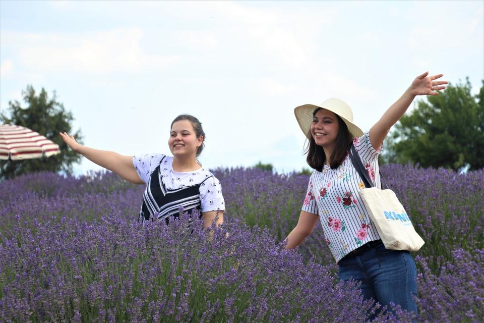 <p>Lavantanın sadece kozmetikte kullanılmadığını anlatan Günaydın, "lavanta turizmi"nin canlanması için ciddi çalışmalar yaptıklarını kaydetti. </p>