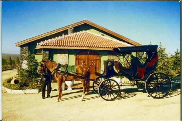 <p>İçinde yarış atlarından, tavus kuşlarına, deveden nadide kuş türlerine kadar onlarca çeşit hayvanın yer aldığı ahır ve çitflik içinde ulaşım için kullanılan fayton. </p>

<p> </p>
