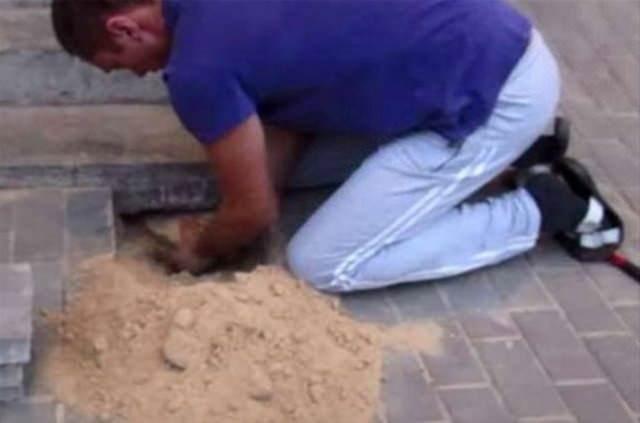 <p>Hayvanseverin çabası sonucunda köpek olduğu yerden çıkarıldı.</p>
