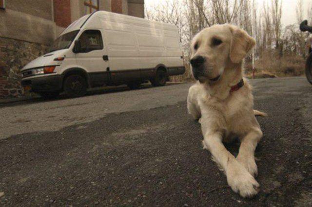 <p>Deep Vasudeva Das adındaki bir adam da, satın aldığı eski bir minib&uuml;s&uuml; yaşam alanına &ccedil;evirmeye karar verdi.&nbsp;</p>

<p>&nbsp;</p>
