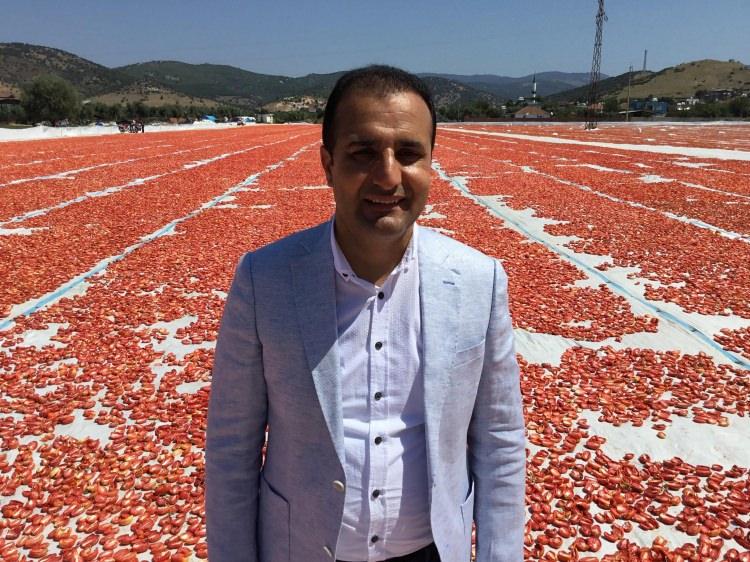 Bir ilçe kırmızıya boyandı! Kilosu 4 euroya ihraç ediliyor