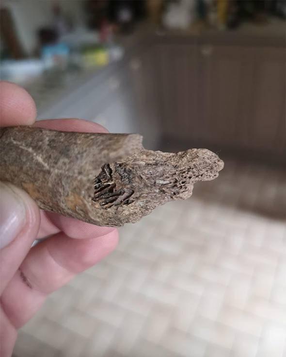 <p>"Bu, yemekleri soğuk tutmak i&ccedil;in yapılmış bir yer olabilir"</p>
