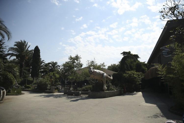 <p>''Hayvanat bahçesi, hayvanların modern bir hayat sürdüğü ve çoğaldığı bir alan"</p>