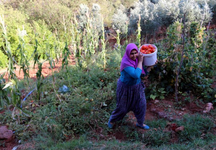 <p>Doğu Akdeniz'in bereketli topraklarında sebze ve meyvelerin yoğun olarak yetiştiği yaz aylarında kadınları ayrı bir telaş sarıyor.</p>
