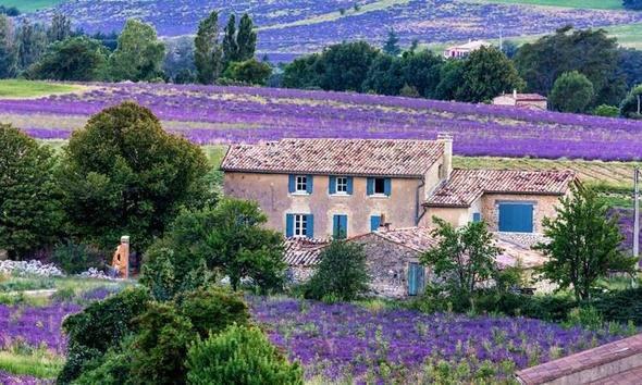 <p>Fransa - Provence</p>
