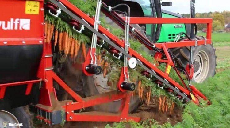 <p><strong>Havu&ccedil; hasadı</strong></p>
