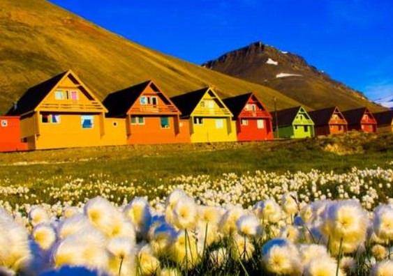 <p>Longyearbyen, Norveç’te bulunan bir kasaba. Bu kasabada ölmek yasak. Mezarlığa yeni cenaze alımı da yıllar önce durdurulmuş durumda. BBC yazarlarından Duncan Bartlett Longyearbyen’ın yolunu tuttu ve ölmenin yasak olduğu bu ilginç yerle ilgili oldukça şaşırtıcı bilgiler edindi. İşte ölmenin yasak olduğu Longyearbyen kasabasının ilginç hikayesi…</p>
