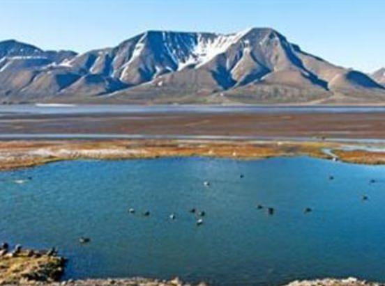 <p>A&ccedil;ıklıyor, eskiden s&uuml;rekli buz olan bu k&ouml;rfez, artık kış ortasında bile donmuyor.</p>
