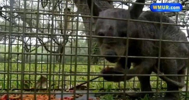 <p>Karar Amerikan medyasından eleştiri oklarını çekti.</p>
