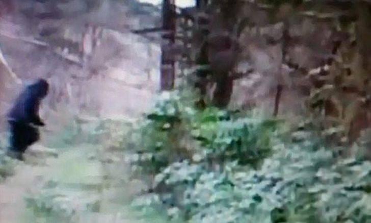 <p>Tıklanma rekorları kıran video, pek çok kişi için efsanevi Koca Ayak'ın varlığının yeniden gündeme getirdi.</p>
