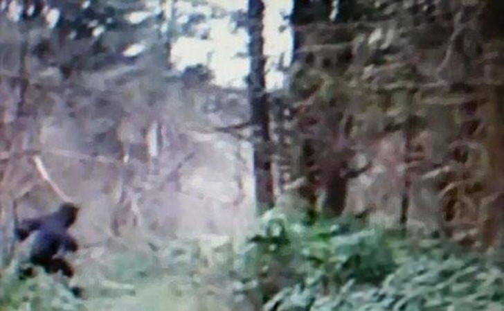 <p>Yeni görüntü hakkında şimdiden bir çok yorum gelirken, Koca Ayak efsanesini yeniden hatırlattı. Birçok bilim adamı yarı hayvan, yarı insan şeklinde, arka ayakları üstünde yürüyen, Kocaayak'a ilişkin ihbarların asılsız olduğunu düşünüyor.</p>
