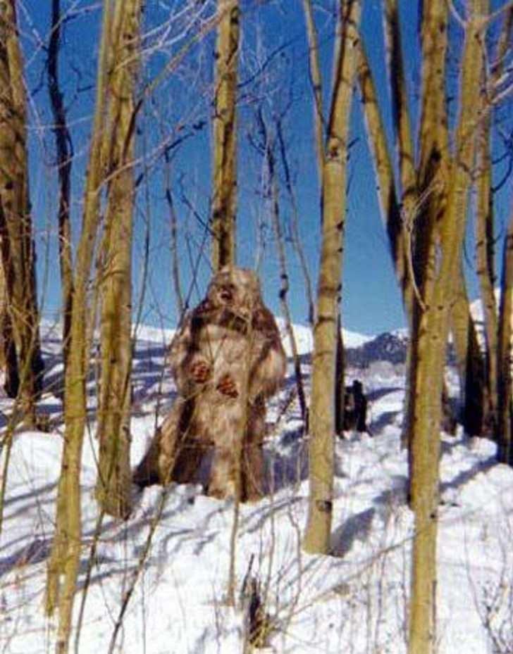 <p>Ancak bu yaratık da henüz mitolojik bir öğe olmaktan çıkamadı ve kanlı canlı yakalanamadı.</p>
