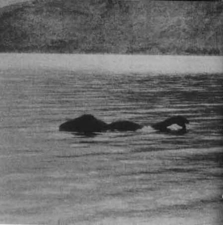 <p>Hayvanın varlığıyla ailgili ilk ihbar 1933 yılında yapıldı. Yılan kafalı uzun vücutlu bir canavar olduğu iddia edilen Loch Ness sakinine Nessie deniyor.</p>
