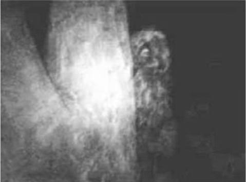 <p>Yowie - Yowie tuhaf biçimsiz, kertenkeleyle karınca arasında bir yaratık. Kırmızı gözlere ve yılanlardaki gibi büyük dişlere sahip.</p>
