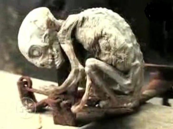 <p>Şimdilerde bir "yaratıktan" daha söz ediliyor.</p>
