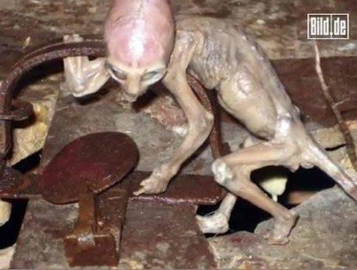 <p>İşçi Francisco Garcia:"Yaşayan ikinci bir yaratık gördüm. Gördüğüm 70 cm. boyunda bir insancıktı. Onu çiftlik kapısından çıkarken gördüm, sonra hızlıca oradan uzaklaştı" dedi.</p>
