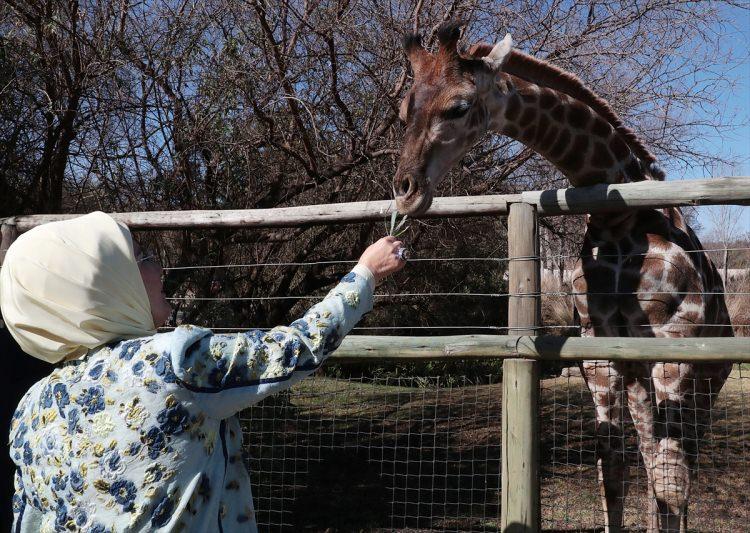 <p>Emine Erdoğan, sosyal paylaşım sitesi Twitter'daki hesabından, eşi Cumhurbaşkanı Erdoğan'a eşlik ettiği Güney Afrika Cumhuriyeti ziyareti sırasında gittiği Johannesburg'daki Aslan Park'ta çekilen fotoğrafları paylaştı.</p>
