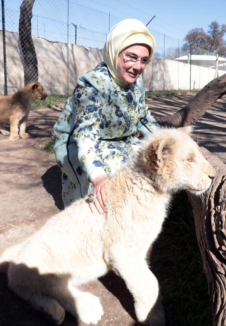 <p>Türkiye Cumhurbaşkanı Recep Tayyip Erdoğan'ın eşi Emine Erdoğan, Güney Afrika Cumhuriyeti ziyareti sırasında yavru aslanları sevdiği fotoğraf karelerini sosyal medya hesabından paylaştı.</p>
