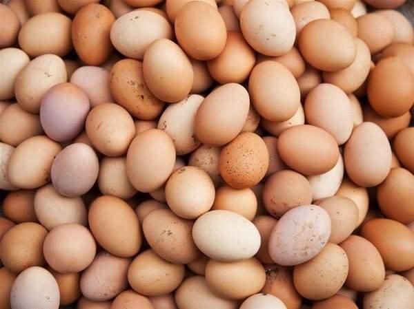 <p>Yumurtaların üzerindeki kod 1 ile başlıyorsa, aldığınız yumurta serbest dolaşan tavuktan... </p>