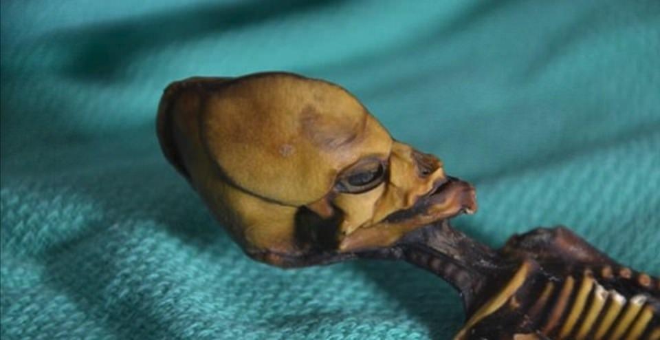 <p>İspanyol bir koleksiyoncu tarafından satın alınarak ortaya &ccedil;ıkarılan mumya ile ilgili daha &ouml;nce Sirius isimli bir belgesel &ccedil;ekilmiş, &ccedil;eşitli komplo teorilerinin yanı sıra bulunan iskeletin uzaylıların varlığına kanıt olabileceği &ouml;ne s&uuml;r&uuml;lm&uuml;şt&uuml;.</p>

<p>&nbsp;</p>
