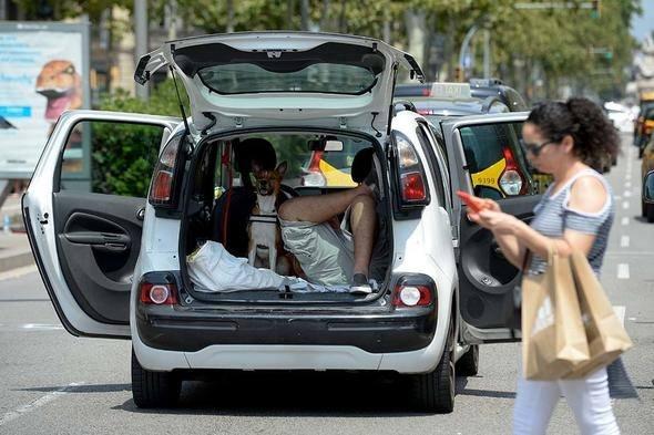 <p>Çarşamba günü Barselona'da taksiciler, Uber ve Cabify araç ve sürücülerine saldırmış, yaralanan 2 sürücü hastaneye kaldırılmıştı.</p>