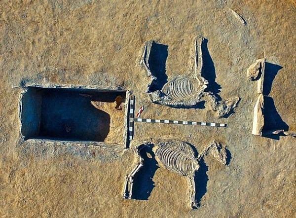 <p>5.000 yıllık mezarda yatan çifti arkeologlar, Kazakistan'ın Romeo ve Juliet'i olarak nitelendirdi. Çiftin yattığı mezarın yanıbaşında, arabanın gövdesini teşkil eden mezarı çeker vaziyette gömülmüş iki at iskeleti bulundu.<br />
 </p>
