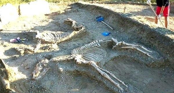 <p>Kazakistan'ın Karağandı merkezli Karaganda bölgesinde son yolculuklarına adeta at arabasına bindirilircesine çıkarılmış şekilde defnedilmiş bir çiftin mezarı ve mezarı araba gibi çekiyor şekilde gömülmüş iki at iskeleti keşfedildi. İnsanların ve atların ayrı ayrı gömüldüğü mezar alanının çevresi dairesel şekilde taşlar dikilerek muhafazaya alınmıştı. Sıra dışı keşfin yapıldığı mezarın Tunç Çağına tarihlendirildiği ve yaklaşık 5,000 yıllık olduğu belirtildi. </p>

<p> </p>
