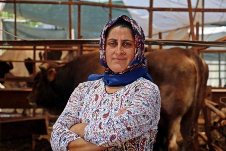 <p>Antalya'nın Muratpaşa ilçesinde yaşayan 39 yaşındaki 3 çocuk sahibi Fatma Öncel, 11 yıl önce eşine destek olmak için hayvancılık işine girmek istedi. Polis memuru olan eşinden olumlu yanıt alan Öncel, düğününden kalan 4 bileziğini dönemin parasıyla 2 bin 500 liraya satıp 2 bin 400 liraya inek, 100 liraya da hayvanını besleyecek yem aldı. İnek sütü satarak para kazanmaya başlayan Öncel, zamanla inek sayısını 20'ye kadar çıkardı. İneklerini beslemek için bir de tarla kiralayan Öncel, buraya ektiği mısır harmanıyla ineklerini beslemeye başladı. Daha sonra ineklere bir de tavuk ile keçi de ekleyen azimli kadın, 10 senenin ardından 130 inek, 250 tavuk, 107 keçi ve 3 at sahibi oldu. Daha önce tek başına beslediği hayvanlarının çoğalmasıyla işçi tutan Öncel, 20 dönümlük arazide 1 milyon liralık servetin sahibi oldu.</p>
