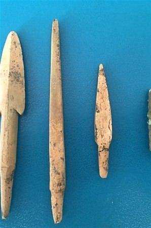 <p>Novozhenov, atların net şekilde 'arabayı çeker pozisyonunda gömüldüklerini vurgulayarak, "Atların koşum takımları arasında "psalya" dediğimiz aleti bulduk. Bu çok nadir kullanılan bir araç. Dizginlenmiş atları birbirine bağlamak ve eş zamanlı koşmalarını sağlamak için kullanılırdı. Atların her iki tarafında "psalyalar" vardı. Arkeologladan önce mezar soyguncuları tarafından bulunmuş nadir bir mezarın, önemli ayrıntılarına zarar gelmeden keşfedilmesi, araştırmacılar için büyük şanstır." açıklamasında bulundu. </p>

<p> </p>
