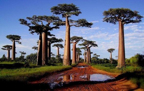 <p>Madagaskar<br />
<br />
Kapıda vize uygulaması var.</p>

