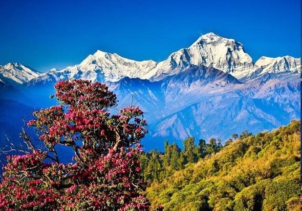 <p>Nepal<br />
<br />
Kapıda vize uygulaması var.</p>
