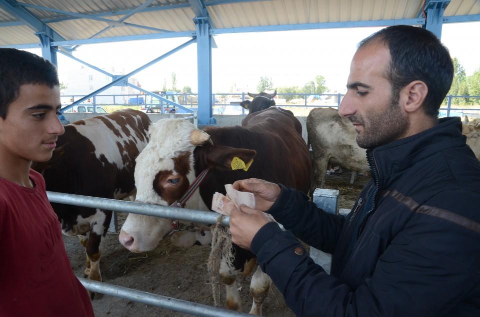 <p><strong>Pazarın gözdesi "Ejder" 15 bin liraya satıldı </strong></p>
<p>Yukarı Damlapınar Köyü Muhtarı Dursun Bilgin, "Ejder" adlı boğayı aldığını belirterek, "Biz burada hayvancılıkla idare ediyoruz. Kurbanlıklar ucuz. 1 tonluk boğayı 15 bin liraya aldım." dedi.</p>