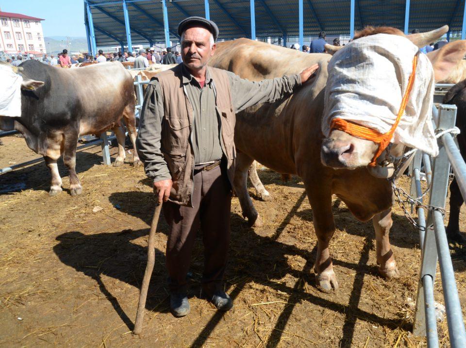 <p>Pazarın en gözde kurbanlığını aldığını ifade eden Yıldırım, "İnşallah Allah kesmeyi de nasip eder. Kars'ın köylerinden gelen ve pazarın gözdesi olan 822 kilogram ağırlığındaki 'Barış'ı aldık." diye konuştu.  </p>

<p> </p>
