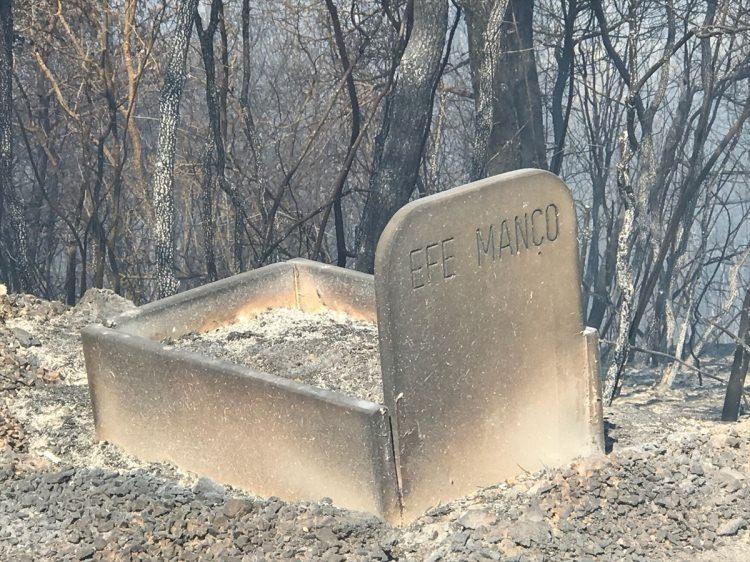 <p>Bursa'nın Mudanya ilçesinde ormanlık alanda çıkan ve şiddetli rüzgar nedeniyle büyüyen yangın sürüyor. Rüzgarın etkisiyle kısa sürede büyüyen yangın, yerleşim yerlerini tehdit etmeye başladı.</p>

<p> </p>
